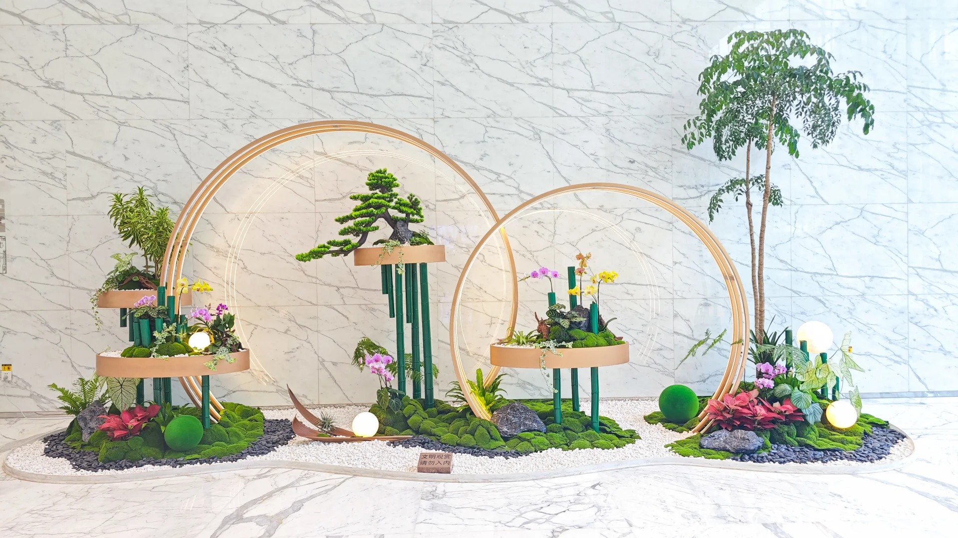 专业花木出租，宁波奉化的绿色之选等你来